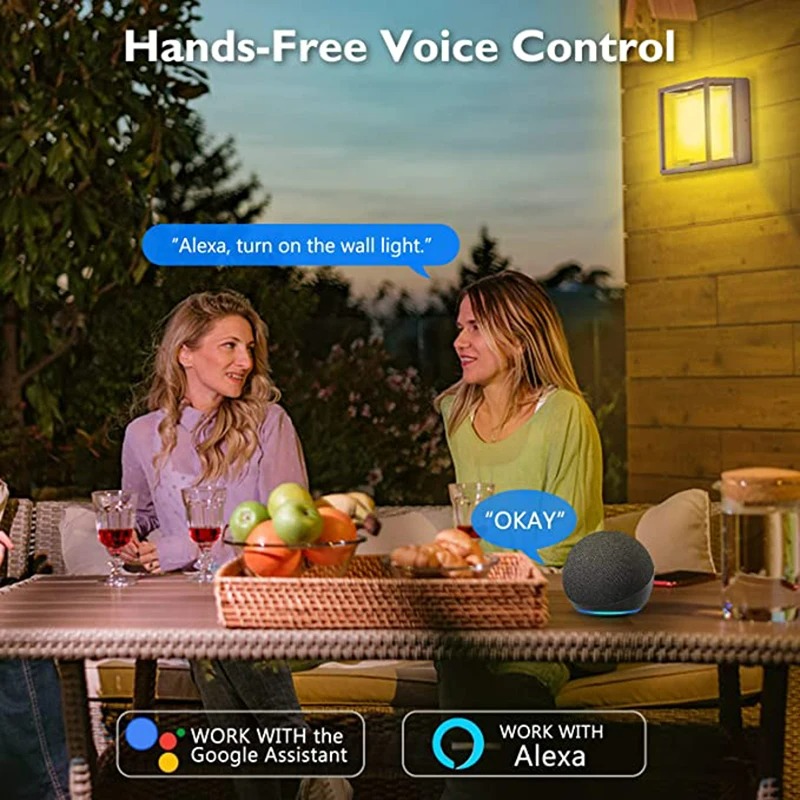Tuya Smart WiFi/ZigBee Wall Li - Smart Zigbee Garden Light 评论和价格