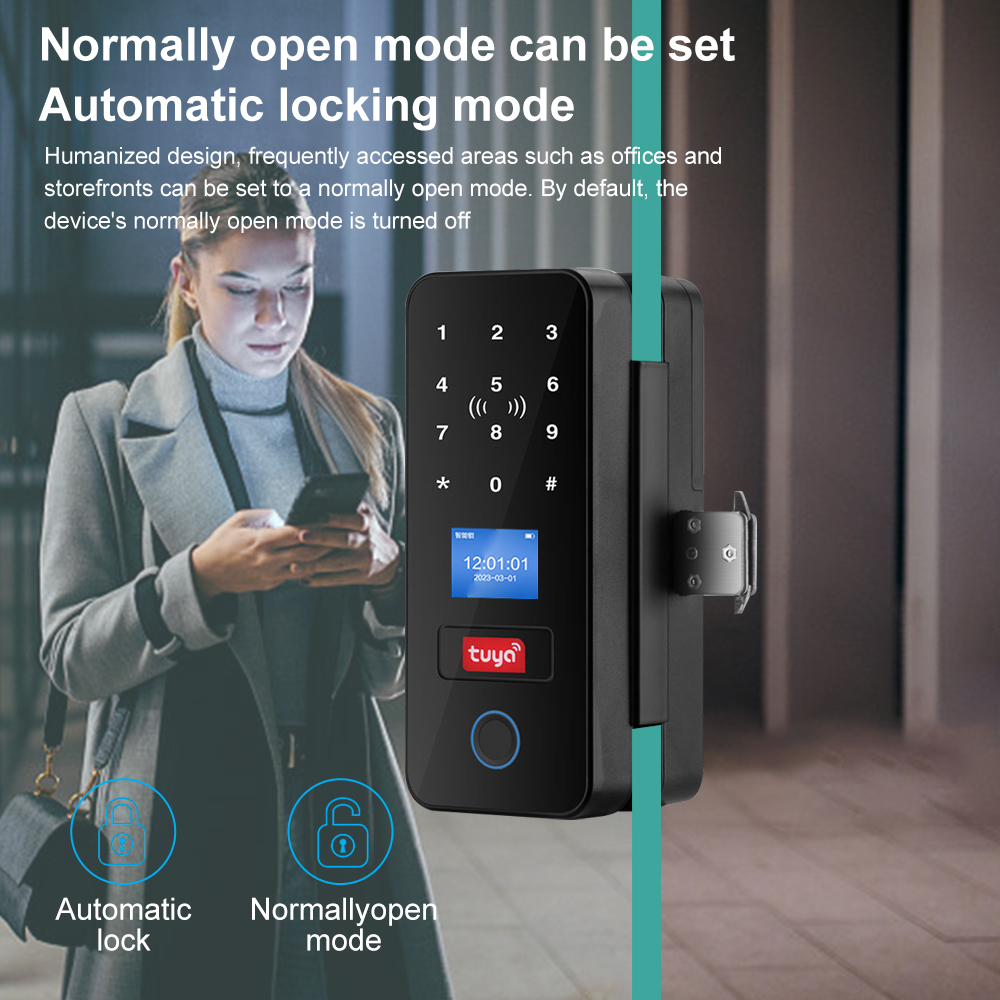 Double Hook Smart Glass Door L - Smart Garden Gate Lock 评论和价格