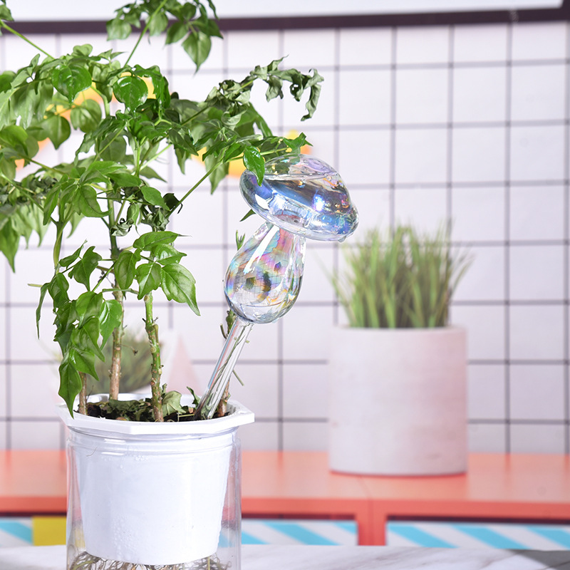 1/2PCS Glass Straw Automatic P - Smart Garden Project 评论和价格