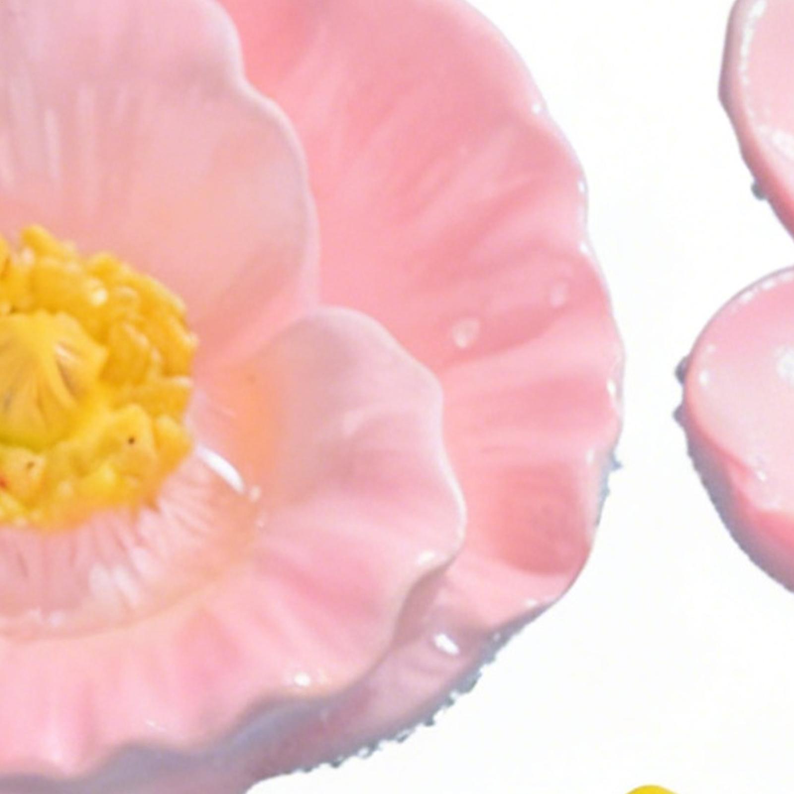 Bee Water Feeder Set Floating  - Garden Weather Station 评论和价格