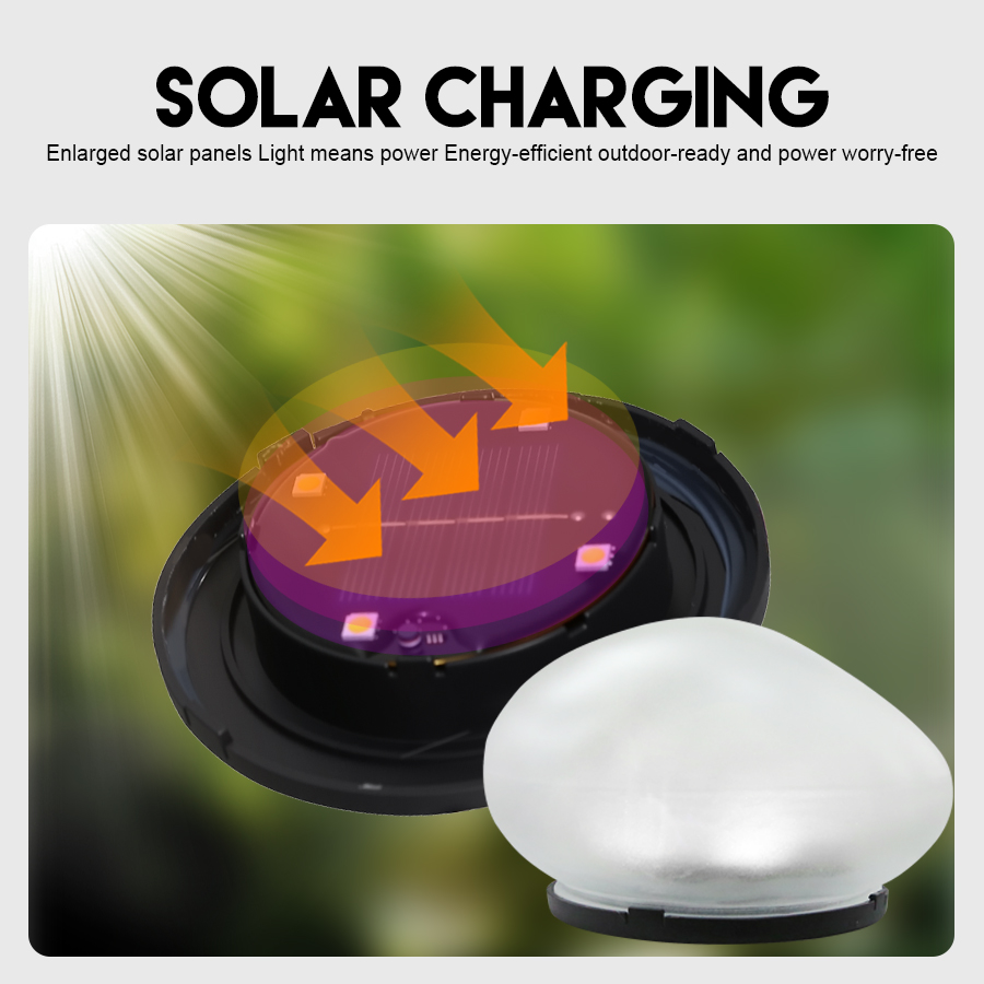 Solar Decorative Lamp Frosted  - Smart Garden Light Camera 评论和价格