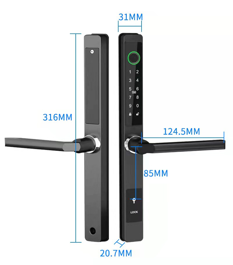 ZHDCOOKEY Biometric Digital Do - Smart Garden Gate Lock 评论和价格