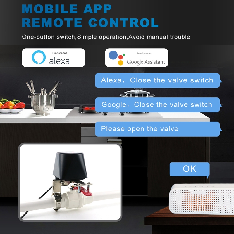 Tuya Smart Gas Valve WIFI Gard - Smart Garden Valve 评论和价格