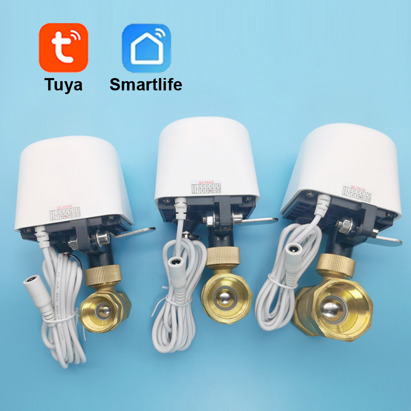 Wifi  Zigbee Tuya Water Valve  - Smart Garden Home Assistant 评论和价格
