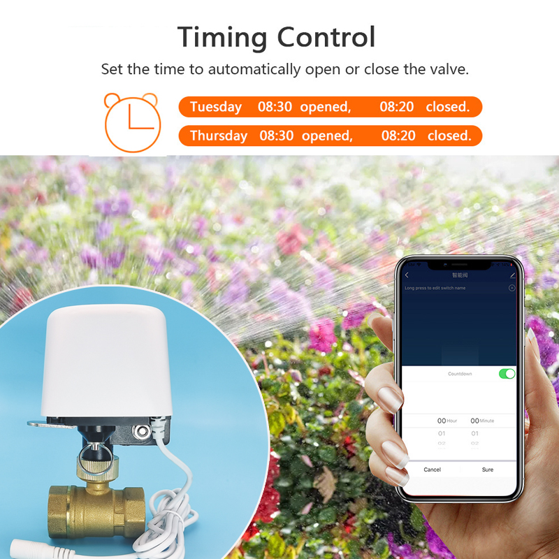 Wifi  Zigbee Tuya Water Valve  - Smart Garden Home Assistant 评论和价格