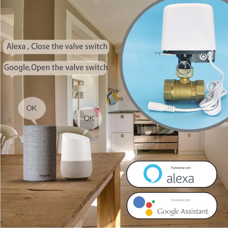 Wifi  Zigbee Tuya Water Valve  - Smart Garden Home Assistant 评论和价格