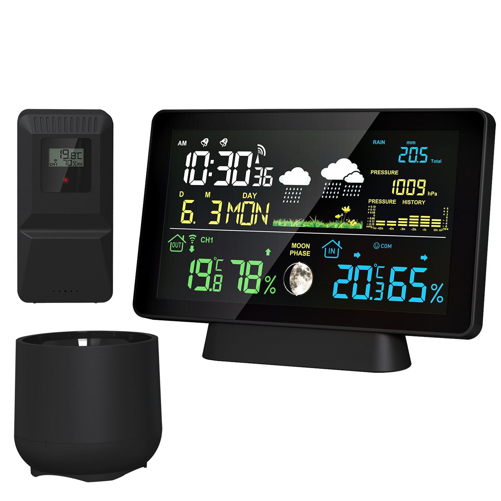 Indoor/Outdoor Wireless Weathe - Garden Weather Station 评论和价格