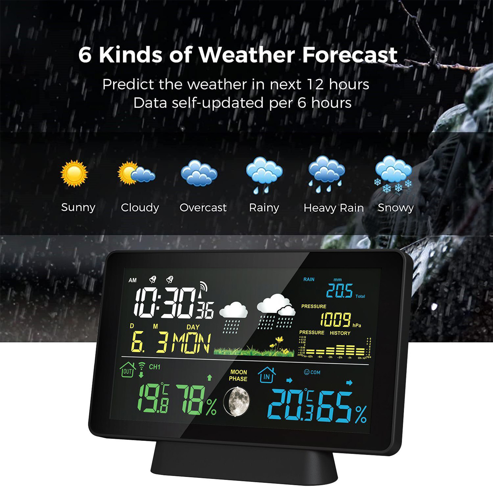 Indoor/Outdoor Wireless Weathe - Garden Weather Station 评论和价格